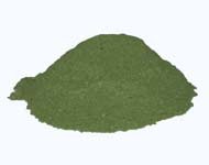 Curry Leaf Powder - Murraya koenigii Powder
